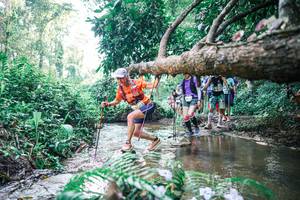 BIB: 
                            <button type="button" onclick="openModal(25451950)" class="btn btn-primary btn-sm float-right btn-popup" data-toggle="modal" data-target=".modal-high-quality">
                        <i class="fas fa-shopping-cart"></i> Add to Cart
                    </button>
                                            <button type="button" onclick="isThisMe(25451950, true)" class="btn btn-success btn-sm float-right btn-popup btn-isme hidden" data-toggle="tooltip" data-placement="bottom" title="นี่คือรูปของคุณใช่ไหม คลิกที่นี่เพื่อเอาเข้าอัลบั้ม">
                        <i class="fas fa-plus"></i> Add to album
                    </button>
                    <button type="button" onclick="isThisMe(25451950, false)" class="btn btn-warning btn-sm float-right btn-popup btn-isnotme hidden">
                        <i class="fas fa-ban"></i> Remove from album
                    </button>